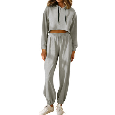 product-Ruiteng-Wholesale Female Fashion Street Spring Fall Style Hoodies Pants Set Solid Color-img