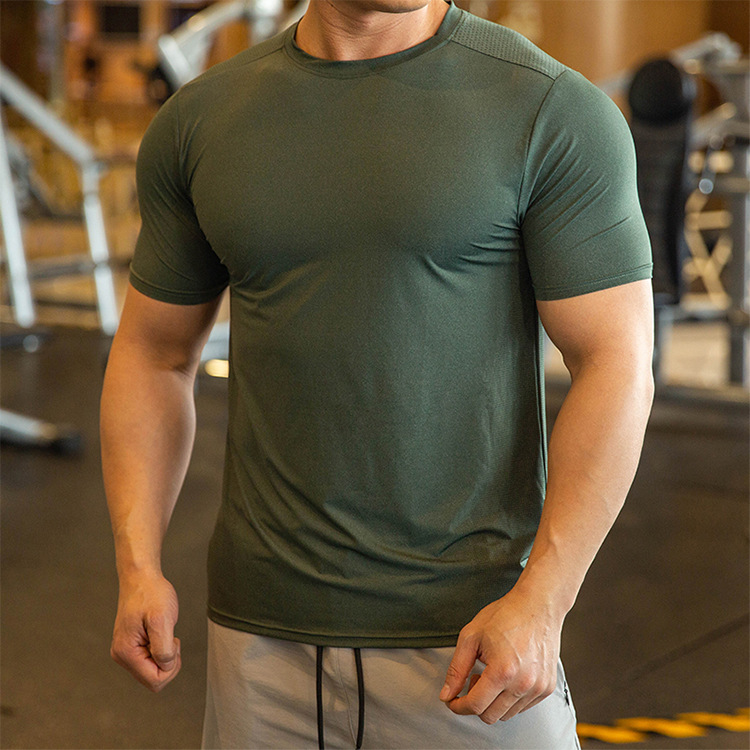 product-OEM Mens Wholesale Quick Dry Gym Fitness Muscle T-shirt-Ruiteng-img