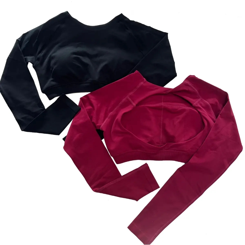 product-Ruiteng-Long Sleeve Crop Top for Women Sexy Backless Gym Yoga Crop Top Shirt-img
